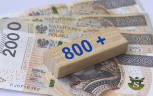 800+ პოლონეთში:გზამკვლევი ემიგრანტებისთვის
