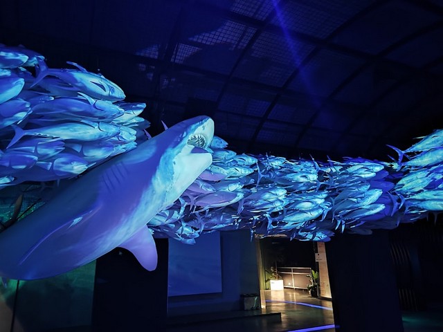 Hydropolis ვროცლავში - ინტერაქტიული წყლის მუზეუმი